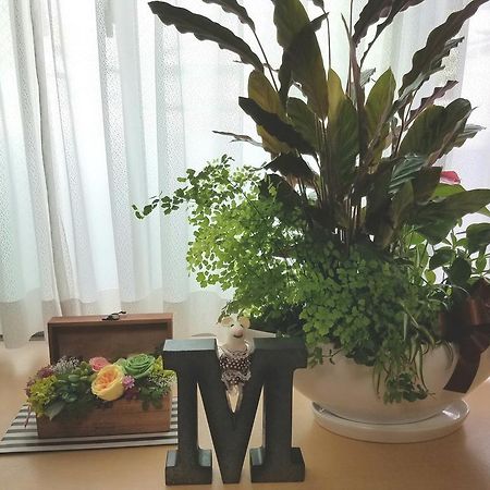 M别墅旅馆 金泽 外观 照片
